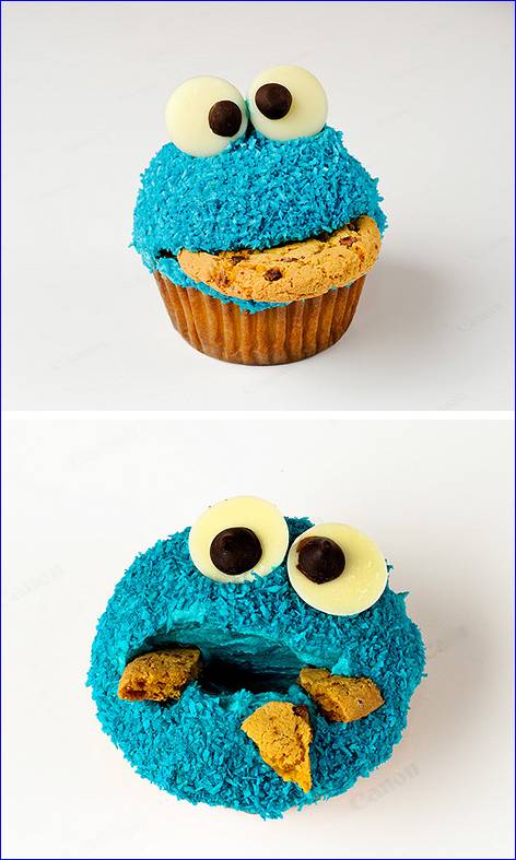 Image Hosted by ImageShack.us